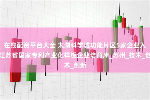 在线配资平台大全 太湖科学城功能片区5家企业入选江苏省国家专利产业化样板企业培育库_苏州_技术_创新