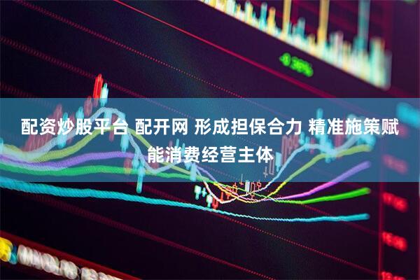 配资炒股平台 配开网 形成担保合力 精准施策赋能消费经营主体